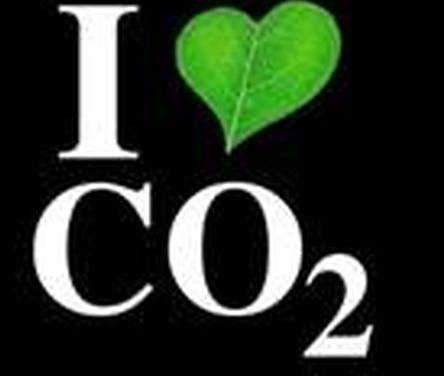 Wir und das CO2