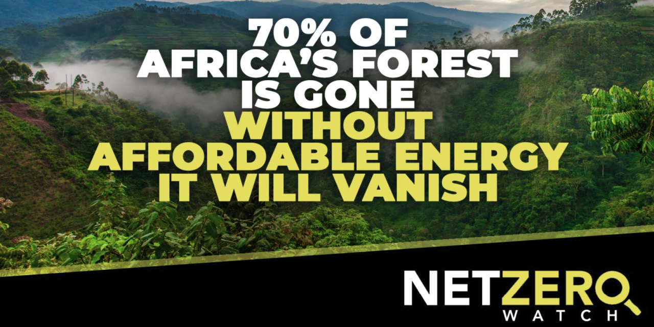 70 % der afrikanischen Wälder sind verschwunden. Ohne bezahlbare Energie werden sie zu 100% verschwinden