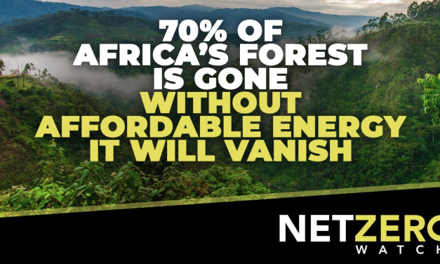 70 % der afrikanischen Wälder sind verschwunden. Ohne bezahlbare Energie werden sie zu 100% verschwinden