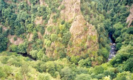 Kann es durch extreme Hitze in manchen Gebieten der Erde für die Menschen zu heiß werden?