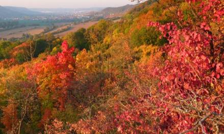 Auf möglichem Temperatur-Rekordkurs in Deutschland: Der Herbst und das Jahr 2023