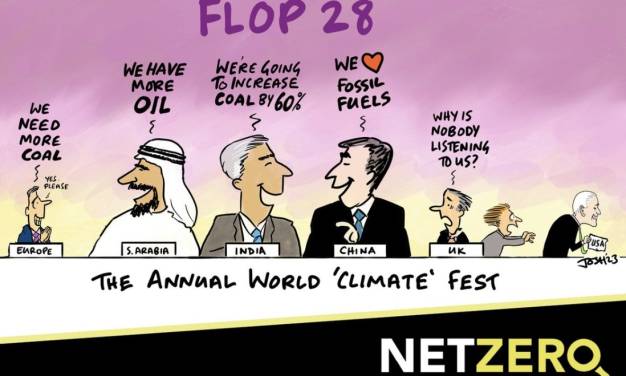 Klimagipfel am Kipppunkt? – Nach COP 28 in Dubai!