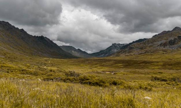 Tschechischer Physiker: „Behauptungen, wonach <em>Net Zero</em> billig und einfach wäre, sind „absolut geisteskrank“