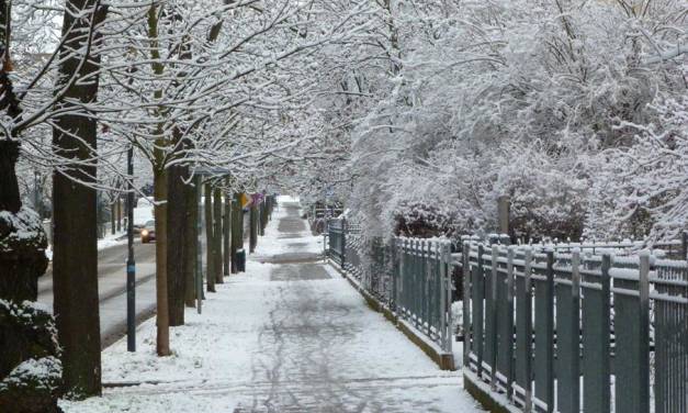 Hochwinter 2024 – mild oder kalt?