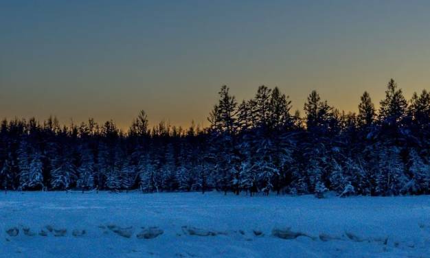 Was geschah mit dem „Kipp-Punkt“ des Permafrostes in Sibirien seit 2005?