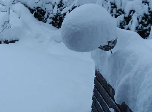 USA: In diesem Monat 80 neue Allzeit-Kälterekorde registriert – und kein einziger Rekord bzgl. Wärme