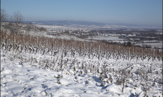Die Daten des Deutschen Wetterdienstes zeigen: Dezember und Januar verhalten sich vollkommen unterschiedlich – ein weiterer Beweis gegen den CO₂-Treibhauseffekt