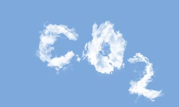 CO₂ ist kein Giftstoff, sondern die Wurzel allen Lebens!
