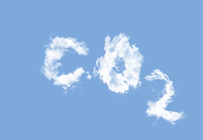 CO₂ ist kein Giftstoff, sondern die Wurzel allen Lebens!