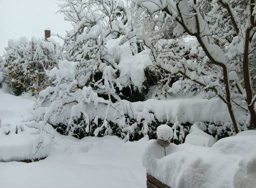 Kältereport Nr. 5 / 2024