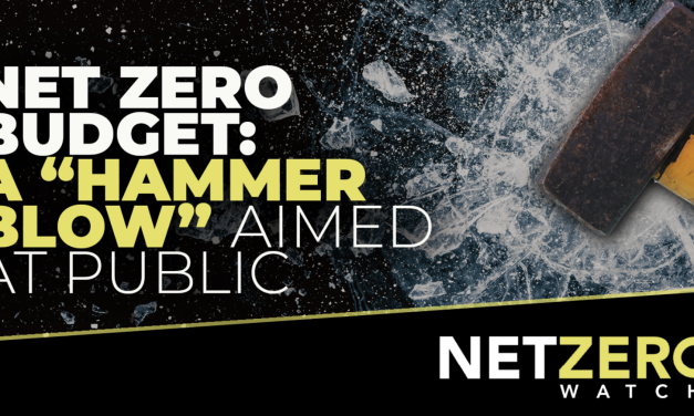 Die grüne Blase spielt immer noch das Panik-Orchester