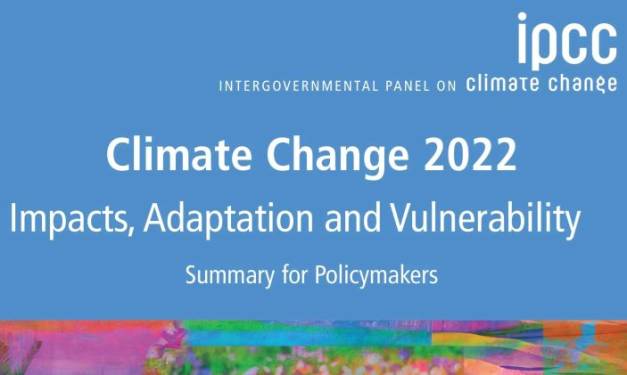 Klimamodellverzerrung 6: Arbeitsgruppe II (WG II)