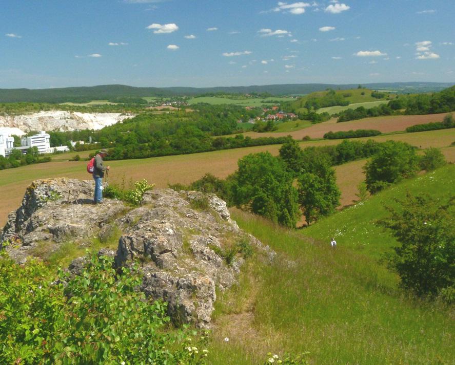Studie: Der Ausbau von Wind- und Solarenergie für Net Zero erfordert enorme Flächen Studie: Der Ausbau von Wind- und Solarenergie für Net Zero erfordert enorme Flächen