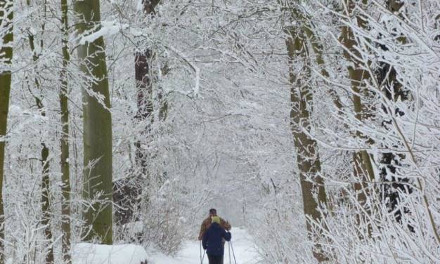 Winter 2023/24 – grob richtig vorhergesagt, aber seine extreme Milde wurde generell unterschätzt