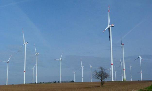 Die Entwicklung der Windgeschwindigkeit in den Niederlanden im aktuellen Klimaoptimum seit 1988