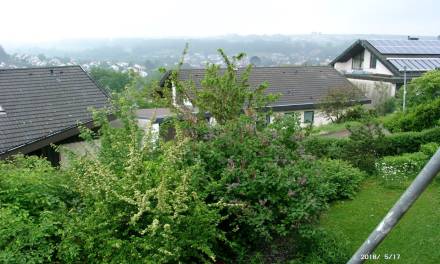 Trotz 2024, die Eisheiligen vom 11. Mai bis 15. Mai werden kälter.