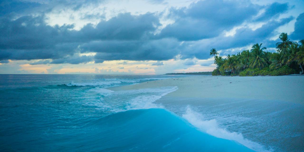 Die wahrheitsbedrohte Spezies „Meeresspiegelanstieg“