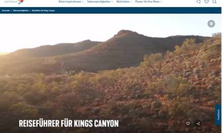 Massive Einbrüche der Windkraftproduktion drohen zum Totalausfall des Stromnetzes zu werden