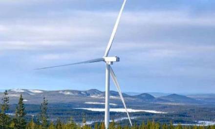 Joe Kaeser, Energie-Chef von Siemens: „Die Industrie wird der <em>Net Zero</em>-Ideologie geopfert!“