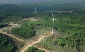 Ein Bild, das draußen, Windmühle, Gras, Landschaft enthält. Automatisch generierte Beschreibung