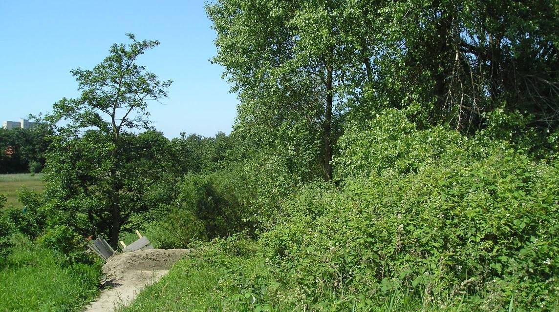 EU-Landwirte protestieren gegen die Bedrohung der grünsten Landschaften durch die Umweltpolitik