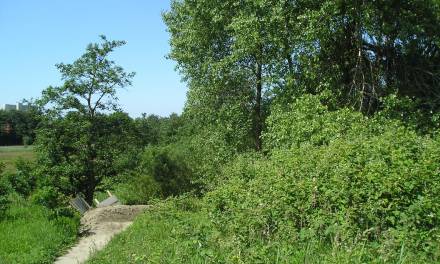 Das Weihnachtsgeschenk, das Umweltschutz-Gegner (= Klima-Alarmisten) nicht ertragen können