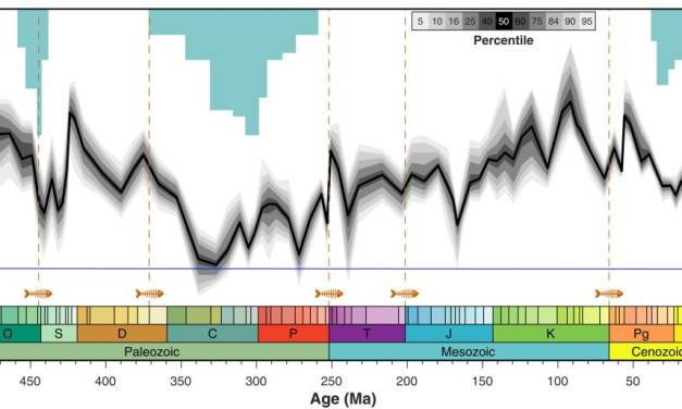 Medien bestätigen: Es ist nicht anomal warm auf der Erde, vielmehr befindet sich diese in der kühlsten Periode der letzten 485 Millionen Jahre