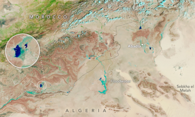 Ergrünung: Seltene, heftige Regenfälle im September haben die Seen in der Sahara zurückgebracht!