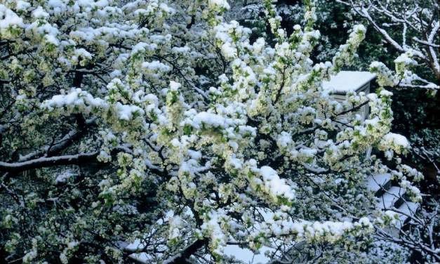 Schwächster Polarwirbel seit 40 Jahren und das Potential für einen kalten Winter