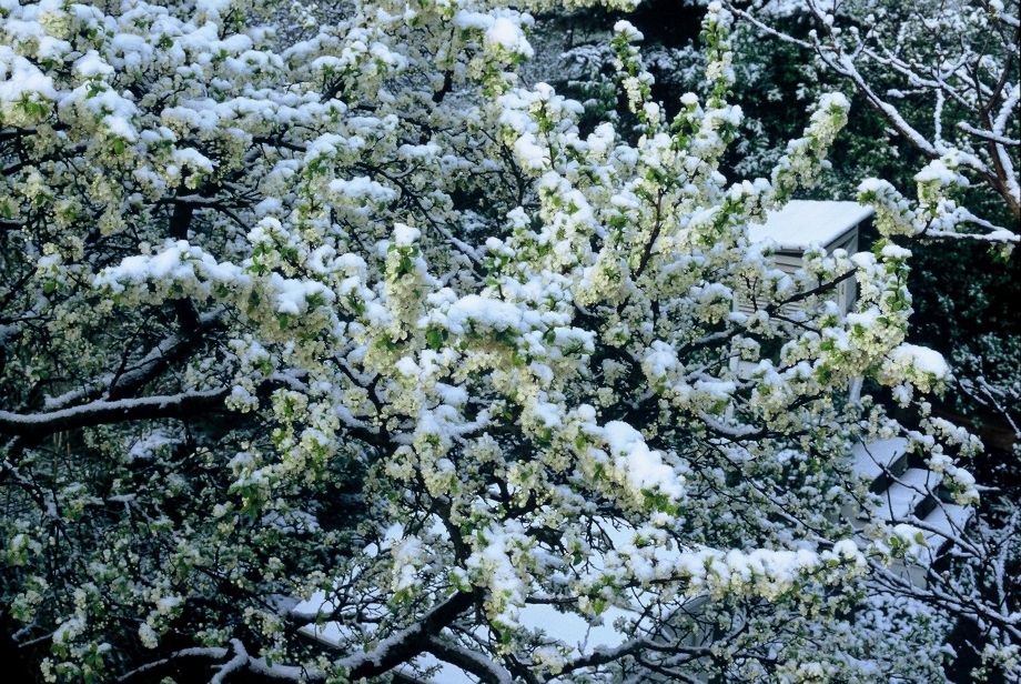 Schwächster Polarwirbel seit 40 Jahren und das Potential für einen kalten Winter