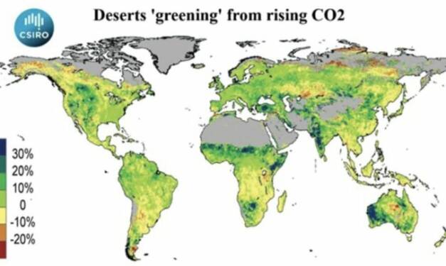 Wissenschafts-Schock: Mehrere neue Studie belegen, dass CO₂ das Beste für den Planeten ist!