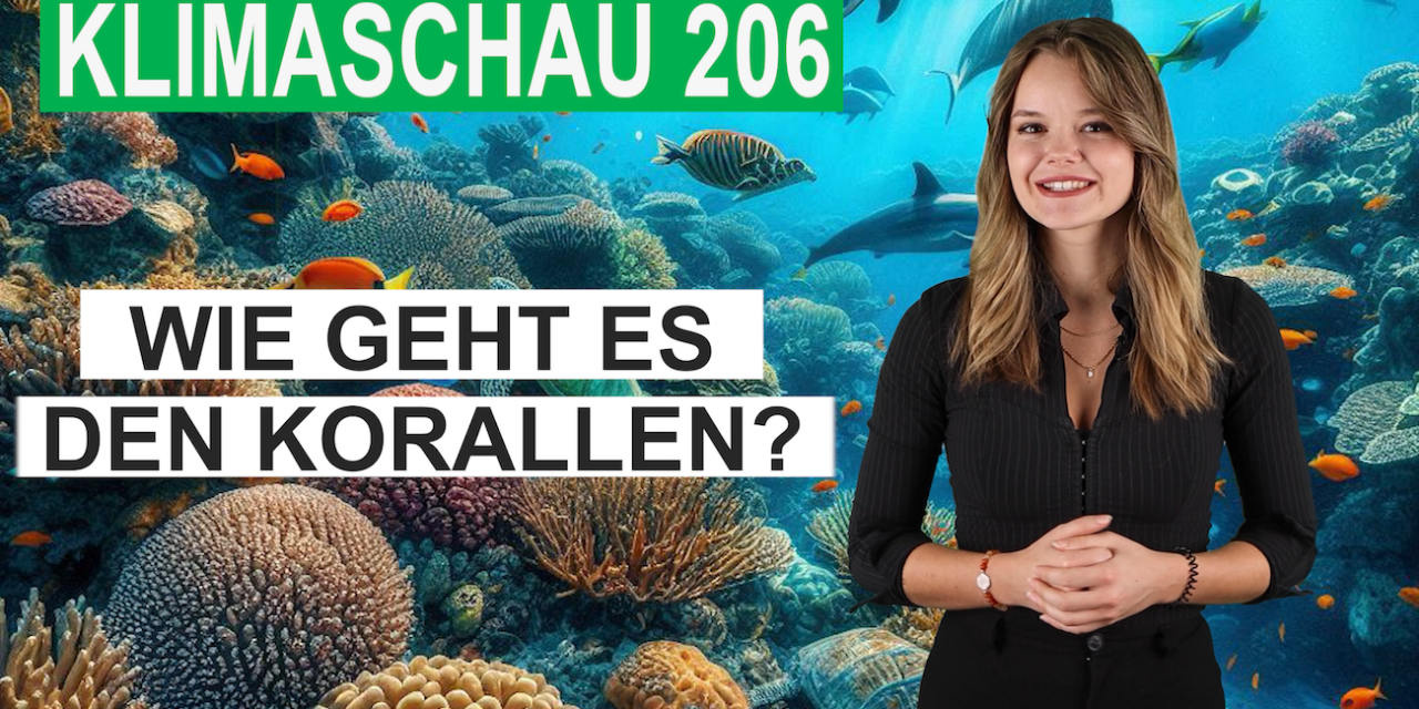 Den sterbenden Korallenriffen geht es erstaunlich gut – Klimaschau 206