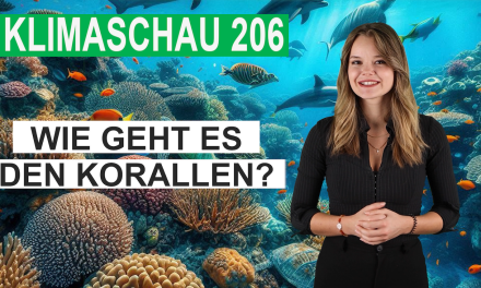 Den sterbenden Korallenriffen geht es erstaunlich gut – Klimaschau 206