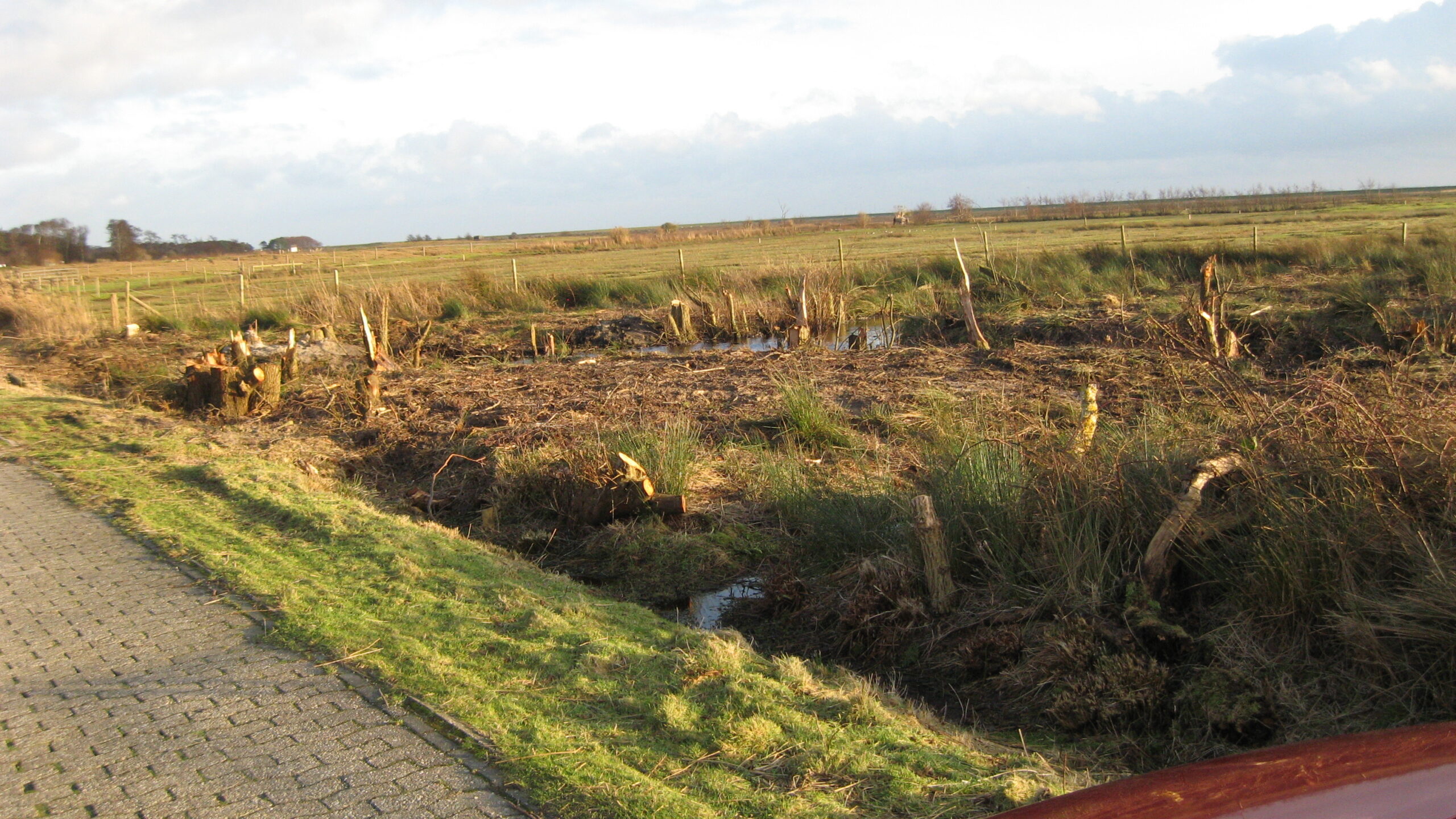 Windkraft gegen Feuchtbiotop: „Klimaschutz“ auf Norderney