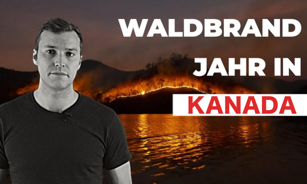 Sind Waldbrände in Kanada eine Folge des Klimakollaps?  – Klimawissen – kurz & bündig