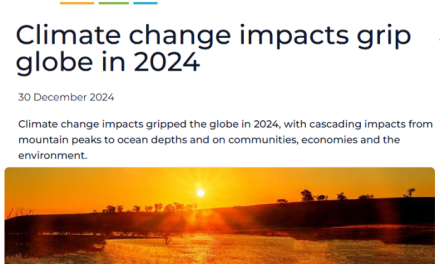 Falsch, WMO, es gibt keine Beweise dafür, dass „die Auswirkungen des Klimawandels den Globus im Jahr 2024 im Griff hatten“.