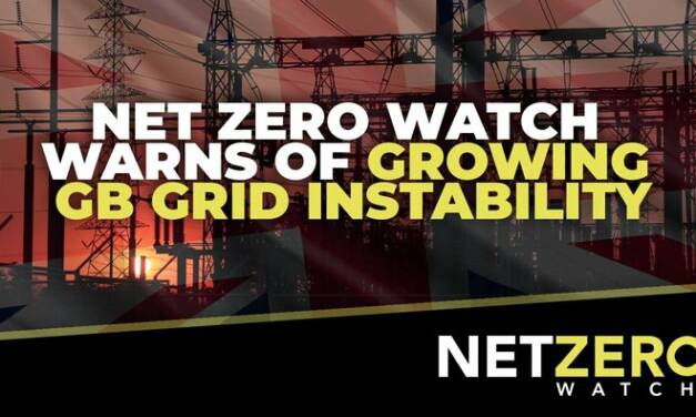 Net Zero Watch warnt vor zunehmender Netz-Instabilität auch in UK