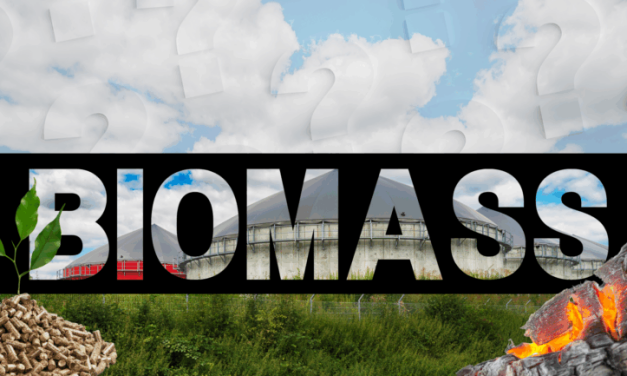 Wie „grün“ macht Biomasse die Welt?