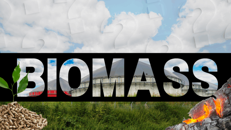 Wie „grün“ macht Biomasse die Welt?