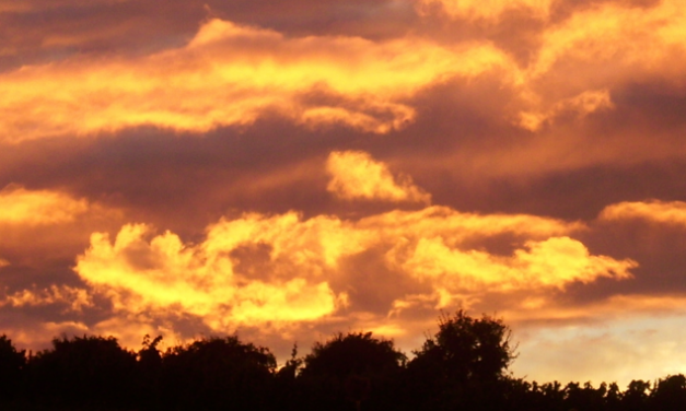Der Deutsche Wetterdienst zeigt: Juli-Erwärmung erst seit 1988 bis 2005 – CO₂ ist nicht die Ursache der Erwärmung – Teil 1