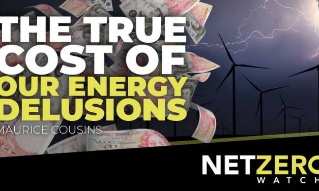 Die wahren Kosten unseres Energie-Wahns