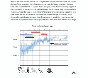 Climate-change-and-human-evolution