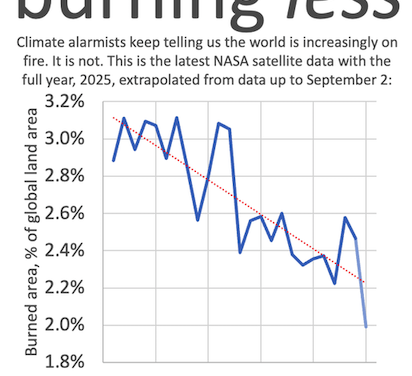 Björn Lomborg: Die Welt brennt weniger, nicht mehr.