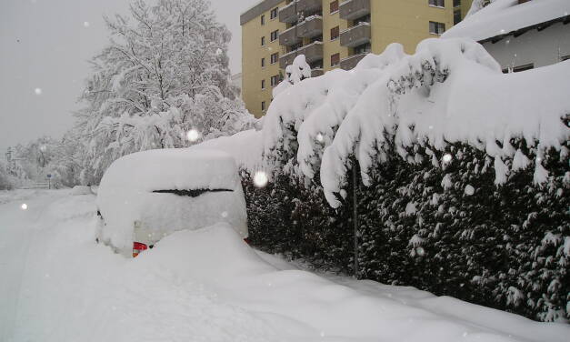 Signale für einen kalten bevorstehenden Winter
