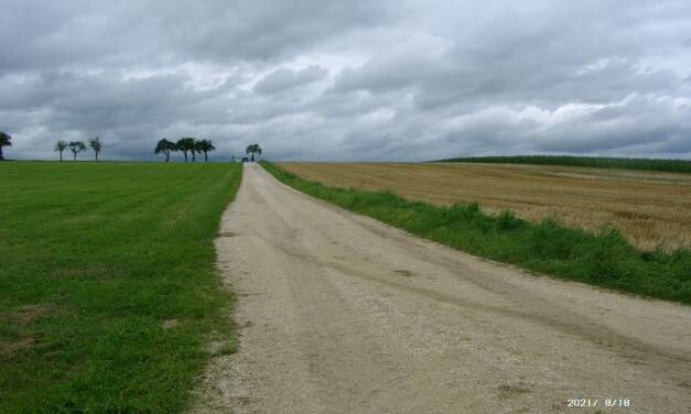 Der August wird in Deutschland erst seit 1988 wieder wärmer – Teil 2