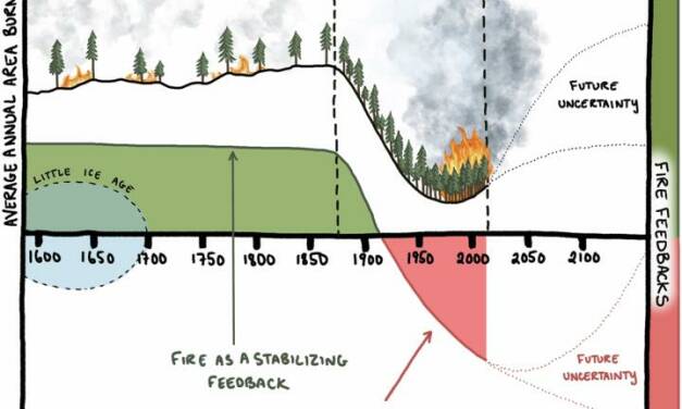 Wald-Bewirtschaftung und Historie von Bränden im Licht neuer Beweise