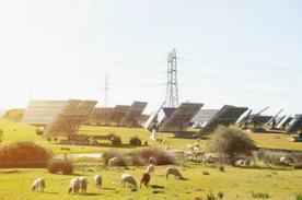 Überspannung führte zu Spainout - was führte zur Überspannung?