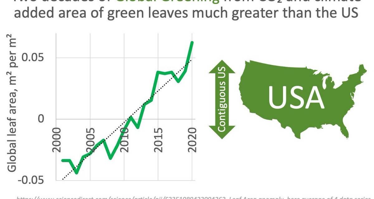 Klimarettung Plan A: Nichtstun, im Zweifel anpassen – Teil 1