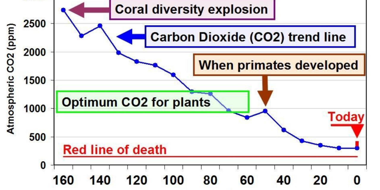 Klimarettung Plan A: Nichtstun, im Zweifel anpassen Teil 4