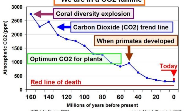 Klimarettung Plan A: Nichtstun, im Zweifel anpassen Teil 4